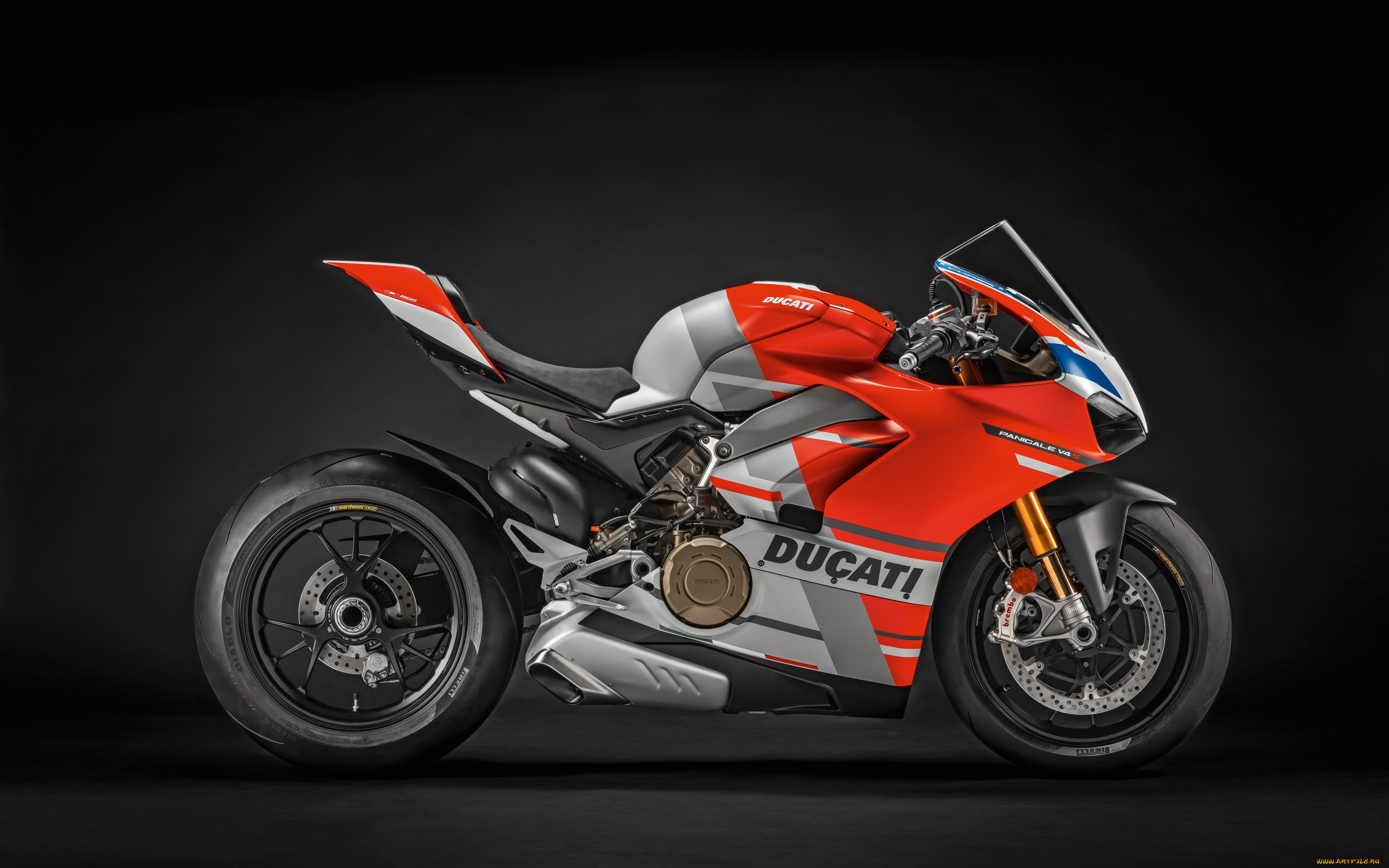 2019 ducati panigale v4 s corse, , ducati, , , panigale, , , , , , 
